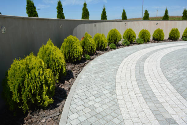 Reasons to Select Us for Your Driveway Paving Requirements in Leona Valley, CA